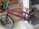 eastern bikes foetus