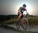 Merlin Cycles Malt 1 Ltd Edition