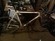Diamondback expert tg