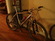 litespeed owl hollow