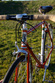 Mercian 