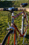Mercian2_thumb_wide