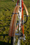 Mercian4_thumb_wide