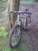 Setavento SS MTB
