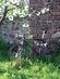 Specialized Hardrock