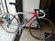 Ridley Boreas
