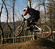 Specialized Big Hit Expert