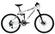 Norco Fluid 2