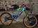 Giant Giant DH team