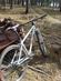 On-One Inbred 29er SD
