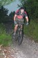 On-One Scandal 29er