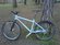Dialled Bikes Love / Hate