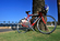Cannondale Saeco