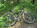 Misfit Psycles DiSSent