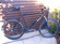 Surly 1x1