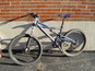 Dsc00965_thumb_wide