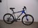 Trek 4300