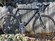 Cannondale SilkRoad 500
