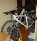 Santa Cruz Chameleon