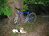 Specialized Rockhopper