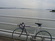 Giant Peloton Lite