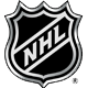 nhl-hockey-icon