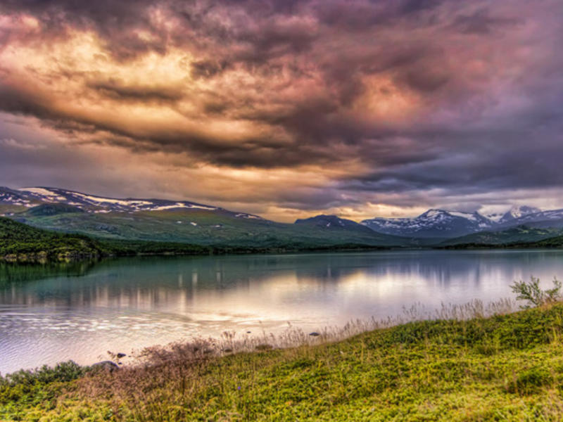 10390858105 1fb7ca0263 k