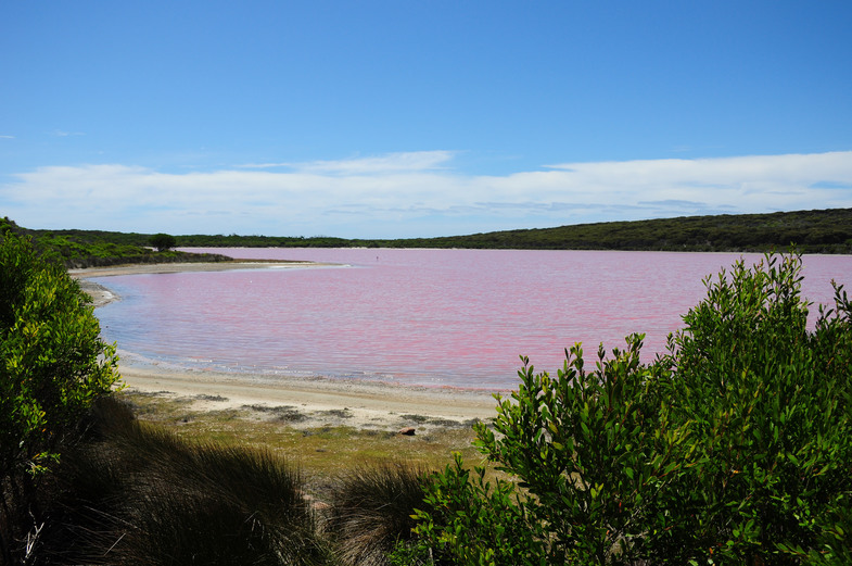 Lagos cor-de-rosa - Lago Hiller
