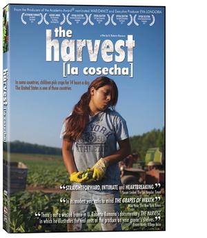Integrative Nutrition Reviews: The Harvest http s amazonaws com iin marketing styles cropped blog s blog blog harvest d lr final