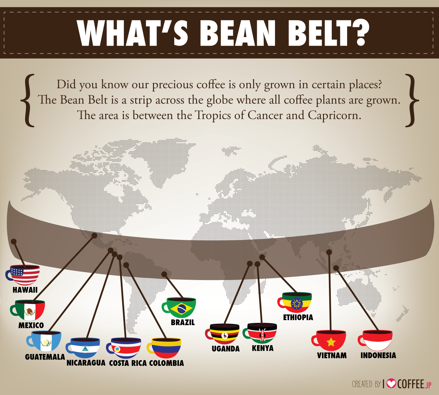 What's Bean Belt? I Love Coffee