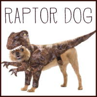 dog_raptor