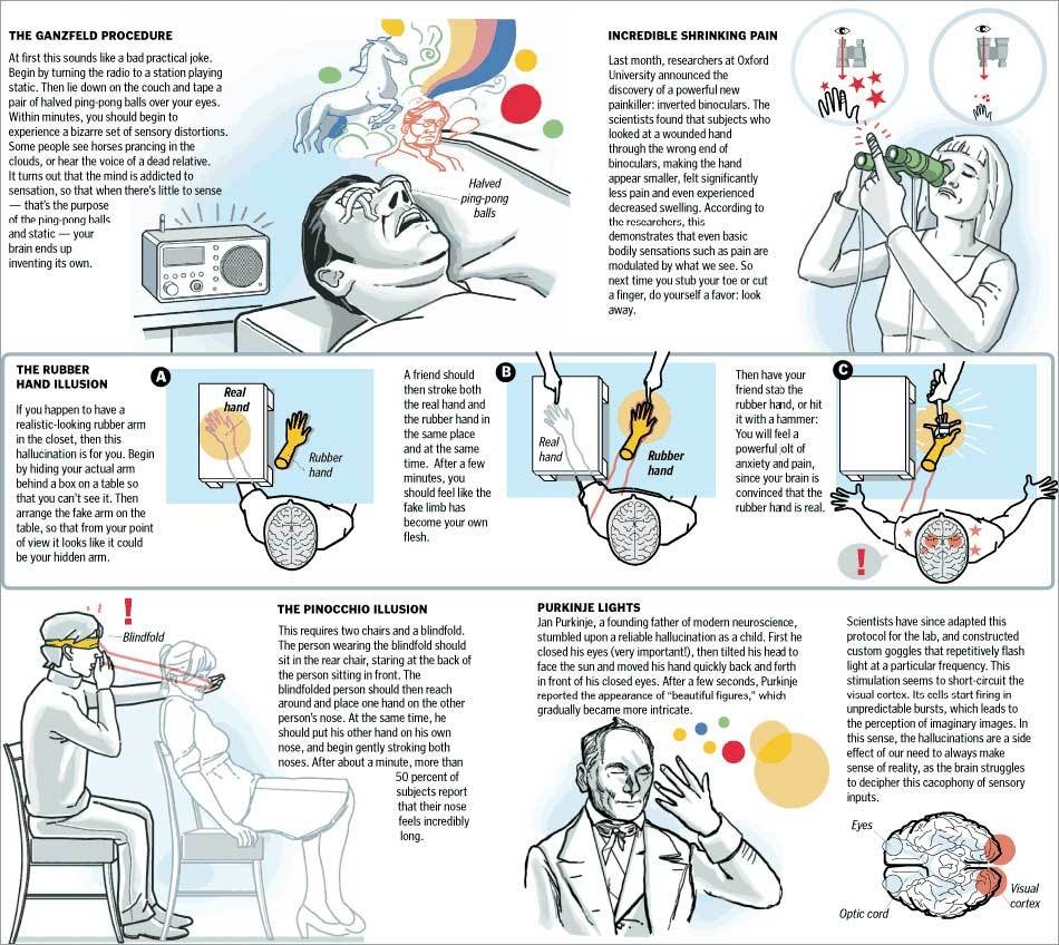 How to trick your brain photo