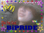 Bi Pride