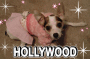 Holly