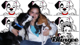 me and my dogs