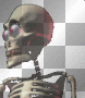 dork skull