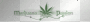 Marijuana pasion