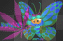 butterflies