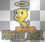 tweety bird