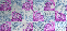 pink/blue