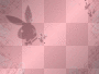 playboy