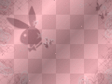 playboy