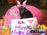Minnie