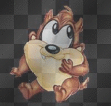 baby Taz