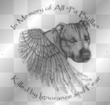 iN M3MORY OF ALL PiTBULLZ