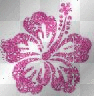 hawaii flower.glitter too