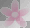 Flower pink