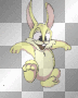 jumping rabbit