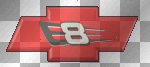 dale earnhardt jr