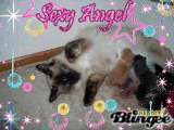 Angel and her babys!!